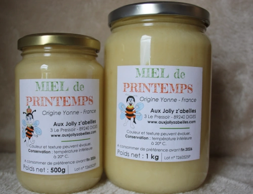 image pot de miel de printemps